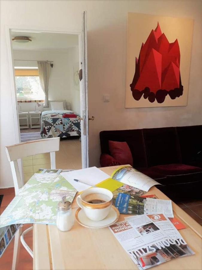 Dom Sztuk - House Of Arts Apartment Miedzyrzecz Luaran gambar