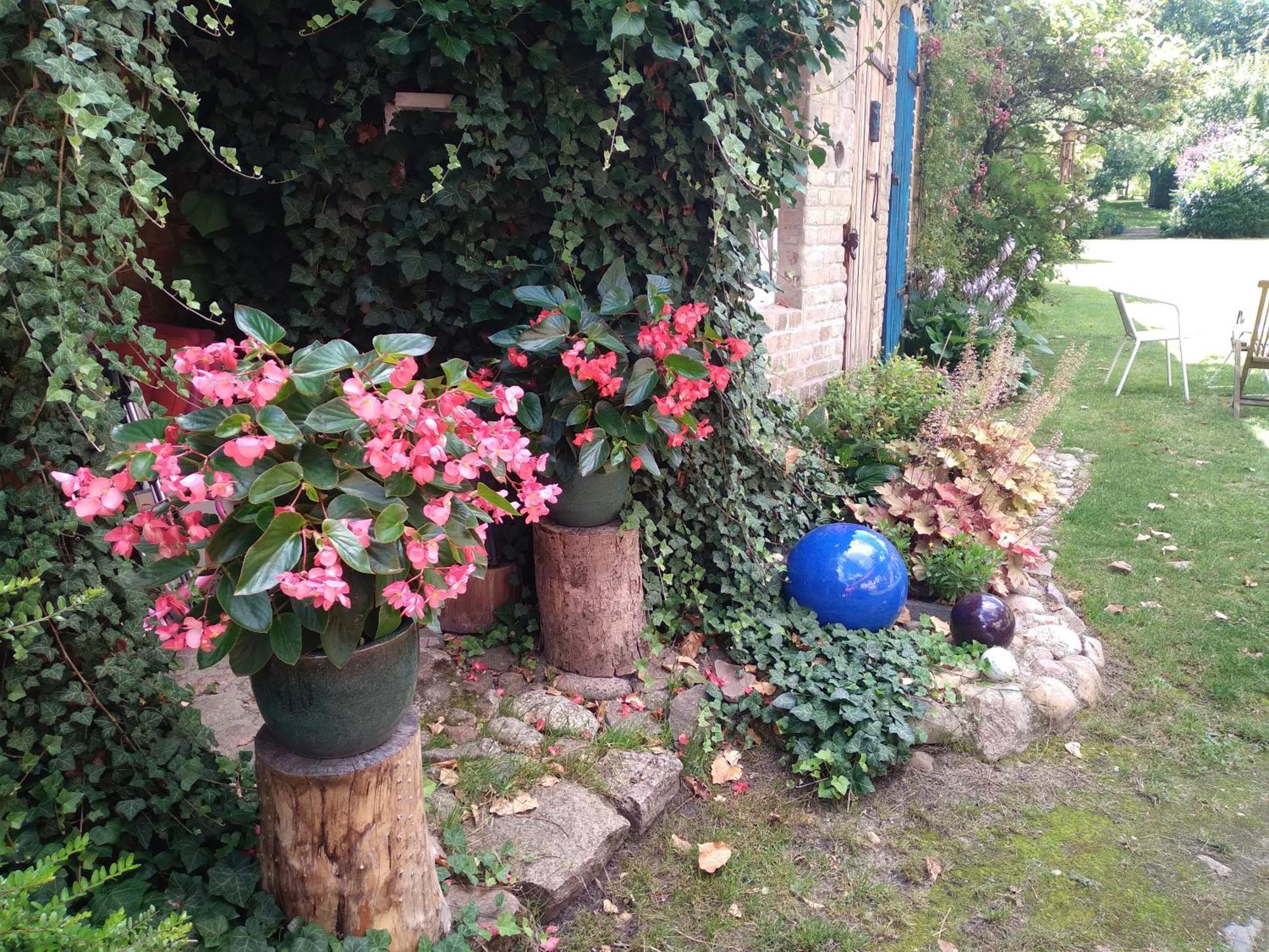 Dom Sztuk - House Of Arts Apartment Miedzyrzecz Luaran gambar