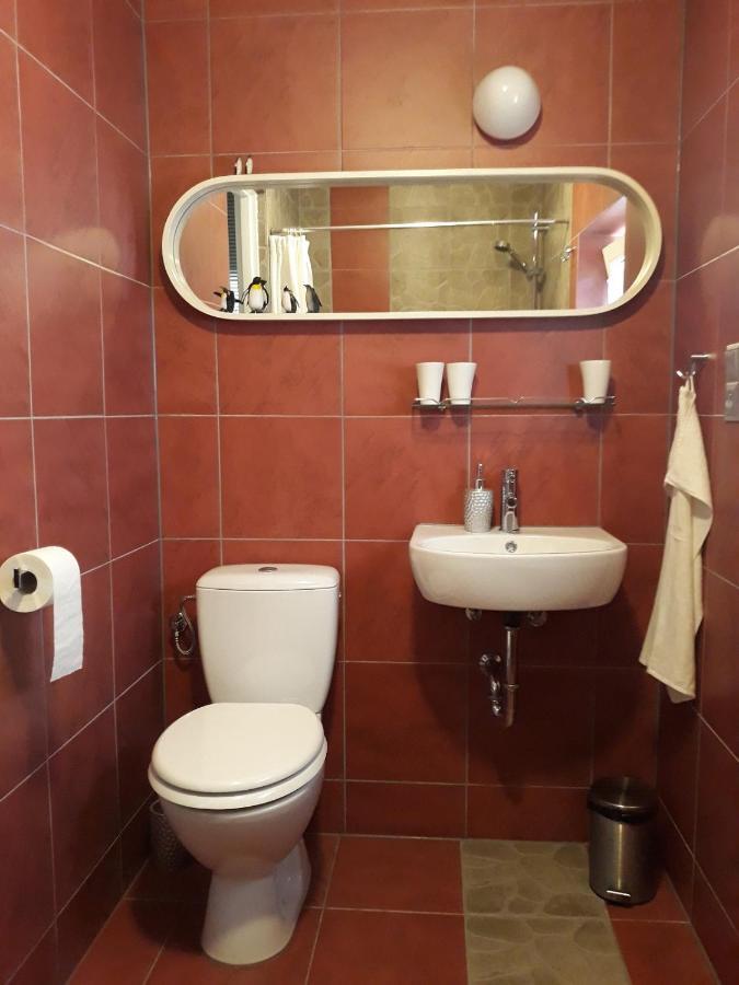 Dom Sztuk - House Of Arts Apartment Miedzyrzecz Luaran gambar